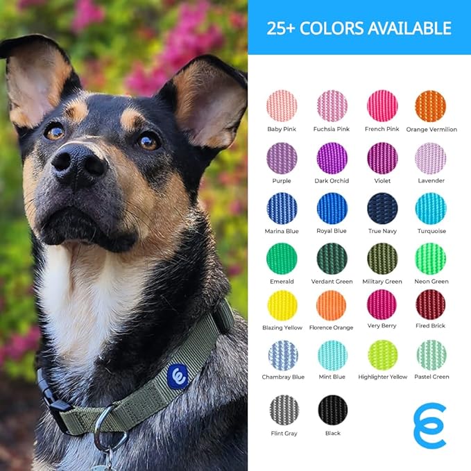 Blueberry Pet X-Small Dog Collar | Girl Dog Collars | Female Dog Collar XS | Quick Release Dog Collar | Florence Orange Nylon Dog Collar for Girl, Collar for Small Dogs