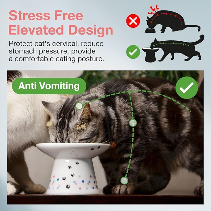 Necoichi Raised Cat Food Bowl – Ceramic Elevated Cat Bowl for Whisker &amp; Neck Fatigue, Dishwasher Microwave Safe – Non-Slip &amp; Anti Vomiting Ergonomic Design (Colorful Dots, Extra Wide)
