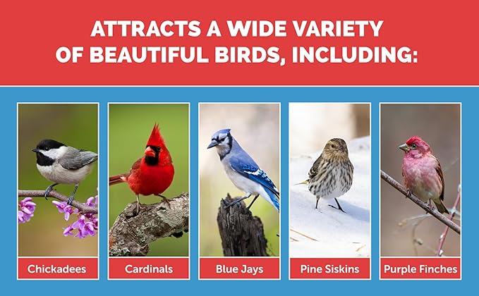 Pennington Select Birder&