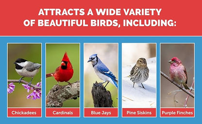 Pennington Select Birder&