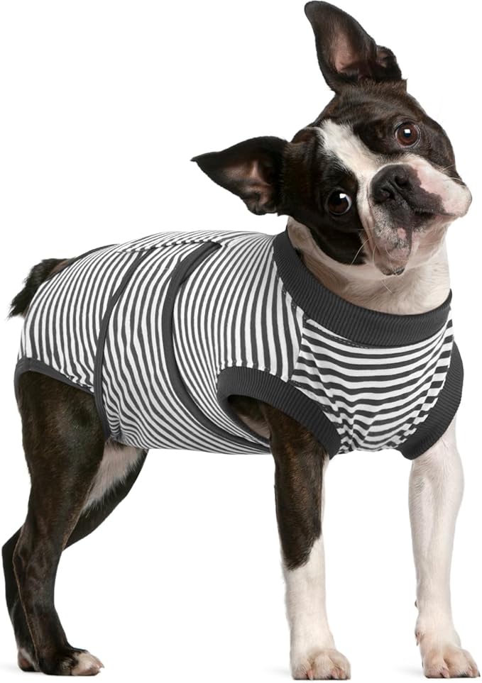 FUAMEY Dog Recovery Suit Male,Dogs Surgery Neuter Suits Puppy Spay Shirts for Female Protect Dog&