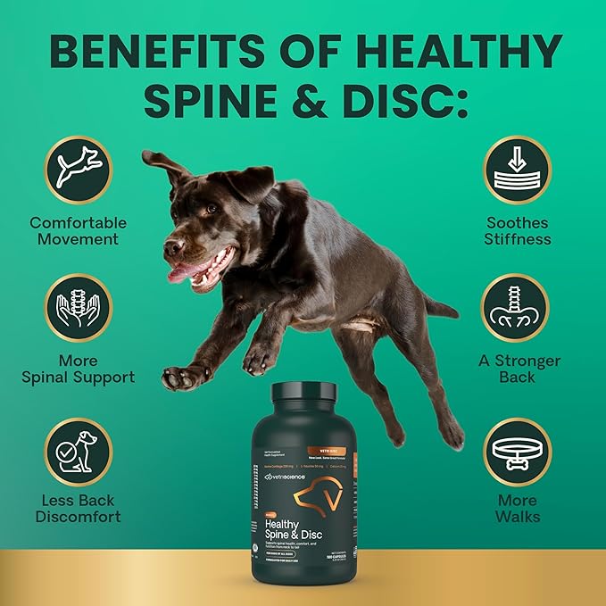 VetriScience Healthy Spine &amp; Disc Easy-Open Capsules, Back &amp; Spinal Support Chondroitin &amp; Taurine Supplement for Dogs, Perfect for Dachshunds, Corgis, Frenchies &amp; More, 180 Count