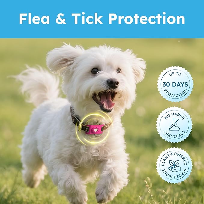 BugMD Paw Guardian Refill, Plant-Powered Flea &amp; Tick Protection Tablets, 3 Count, 30-Day Protection, Natural Essential Oil Formula
