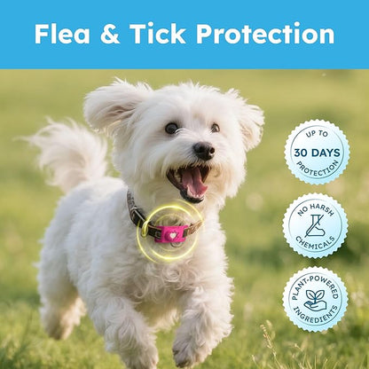 BugMD Paw Guardian Refill, Plant-Powered Flea &amp; Tick Protection Tablets, 3 Count, 30-Day Protection, Natural Essential Oil Formula