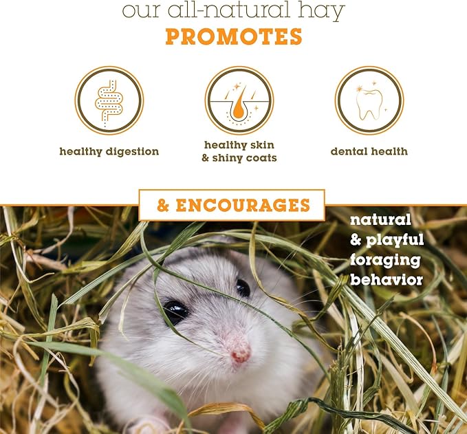 Orchard Grass Hay for Guinea Pigs, Rabbits, Hamsters &amp; Small Pets by Bunny Honey - Fresh, High-Fiber, Supports Digestive Health &amp; Dental Care, Non-Blended &amp; Fresh Cut