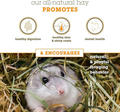 Orchard Grass Hay for Guinea Pigs, Rabbits, Hamsters &amp; Small Pets by Bunny Honey - Fresh, High-Fiber, Supports Digestive Health &amp; Dental Care, Non-Blended &amp; Fresh Cut