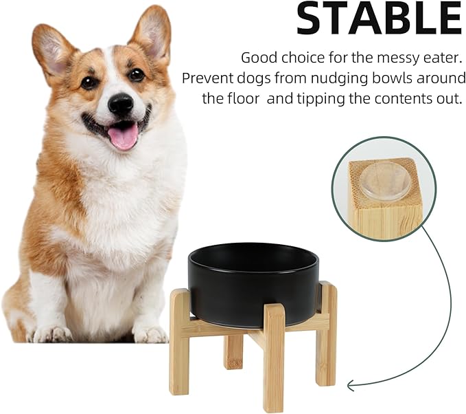 Ceramic Raised Dog and Cat Bowl Set, 2 Heights Elevated Stand, Food and Water Bowl for Small Breed Dogs, Weighted Dog Dishes, Pet Bowl(6.1&