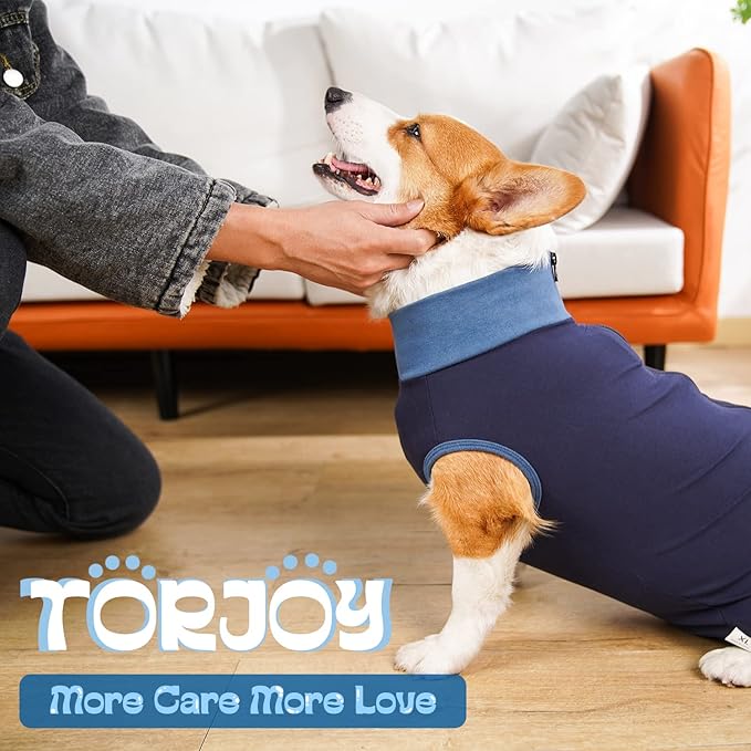 Breathable Dog Surgery Recovery Suit for Male/Female, Professional Dog Recovery Onesie with Zipper After Spay Abdominal Wounds, Anti Licking Cone E-Collar Alternative for Small Medium Large Dog