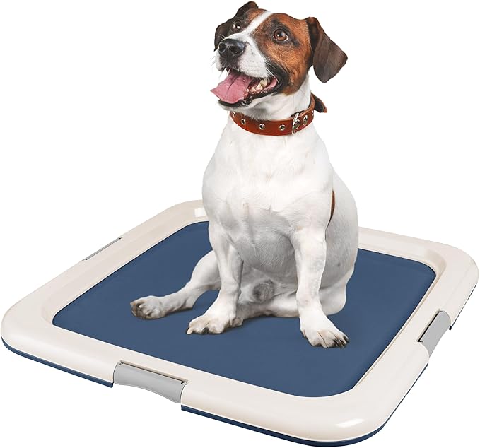 IRIS USA Pee Pad Holder - For Potty Training Regular Sized Dog &amp; Puppy Pee Pads, Secured Latches, Non-Skid Feet, Leak Protection, Fits 22"x22" Pad or Larger, Square, Navy