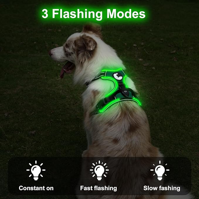 Taglory Light Up Dog Harness, Rechargeable No Pull Dog Vest with 3 Lightning Modes, Reflective Dog Harness with 2 Leash Clips &amp; 4 Adjustable Slide Strips for Medium Dogs, Turquoise-Green, M