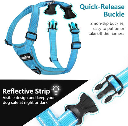 Dog Seat Belt Harness for Car, Dog Car Harness Adjustable Mesh Breathable &amp; Dogs Seatbelt Safety Tether with Elastic Bungee for Small Medium Large Pets(Blue, S)
