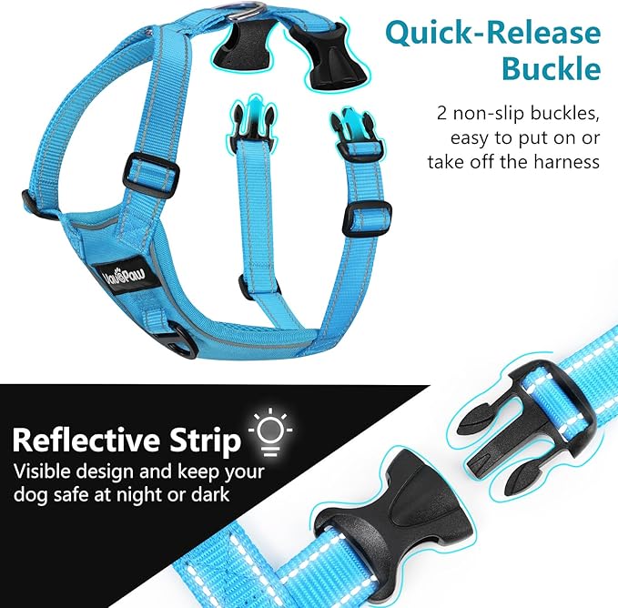 Dog Seat Belt Harness for Car, Dog Car Harness Adjustable Mesh Breathable &amp; Dogs Seatbelt Safety Tether with Elastic Bungee for Small Medium Large Pets(Blue, L)