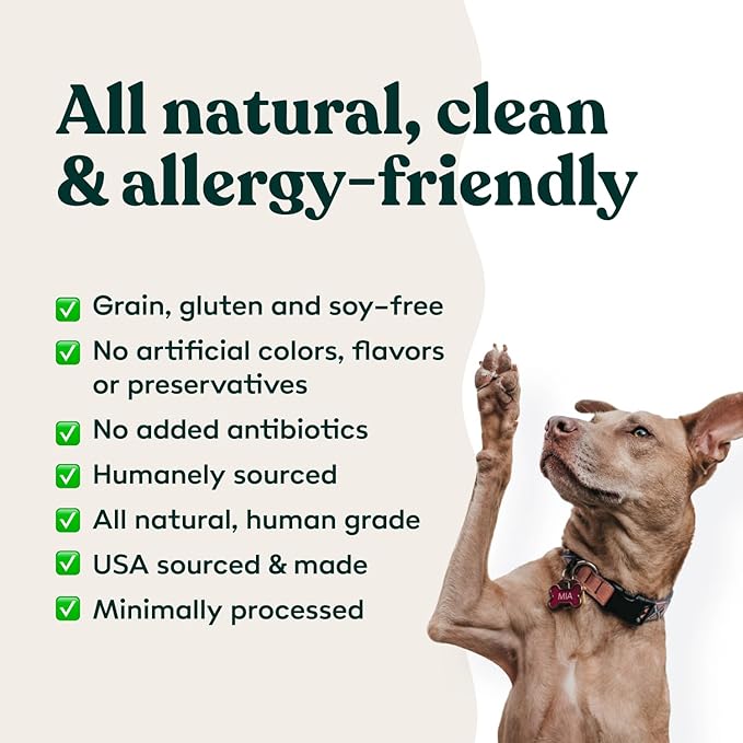 Little Hunter Freeze Dried Dog Treats - Beef Liver - Raw Single Ingredient Beef Liver Dog Treats for Snacks, Training, Dog Food Toppers - All Natural, Healthy Dog &amp; Puppy Treats, 2 oz