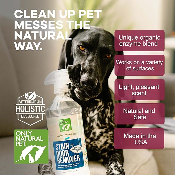 Only Natural Pet Enzyme Powered Stain &amp; Odor Eliminator - Professional Pet Urine Pee Cleaner Deodorizer For Dogs - Hardwood Floors Carpets Upholstery - Fresh Mandarin Orange &amp; Green Tea Scent - 32Floz
