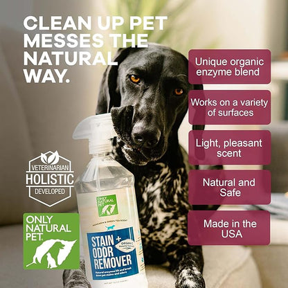 Only Natural Pet Enzyme Powered Stain &amp; Odor Eliminator - Professional Pet Urine Pee Cleaner Deodorizer For Dogs - Hardwood Floors Carpets Upholstery - Fresh Mandarin Orange &amp; Green Tea Scent - 32Floz
