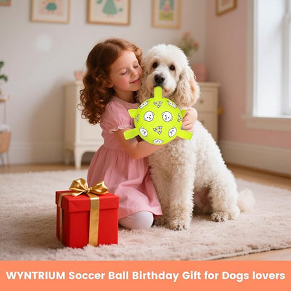 Dog Toys, Durable Dog Soccer Ball with Straps, Interactive Dog Toys, Water Fetch Ball for Tug of War, Puppy Toys for Indoor/Outdoor – Fun Dog Birthday Gift for Small &amp; Medium Dogs, 6 Inch