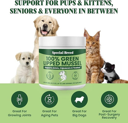 Green Lipped Mussel Powder for Dogs &amp; Cats - 100% New Zealand Green Lipped Mussels - Natural Hip &amp; Joint Supplement for Joints, Tendons, Ligaments, Muscles - 800 Grams - Up to 2,665 Servings