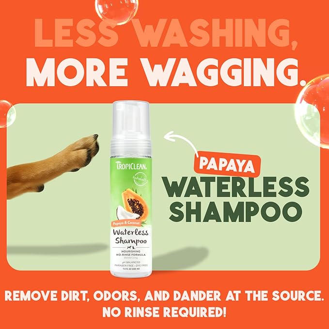TropiClean No Rinse Waterless Dog Shampoo | Detangling &amp; Deodorizing Dry Shampoo for Smelly Pets | Moisturizes Dry Skin | USA Made | Papaya Scent | 7.4oz