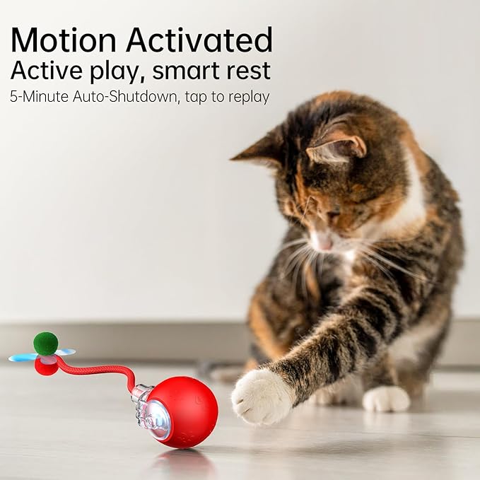 Interactive Cat Ball Toy - 2025 Smart Rolling Cat Toy with Shiny Tail, Motion Activated Boredom Relief for Indoor Cats, USB Rechargeable &amp; Obstacle Avoidance