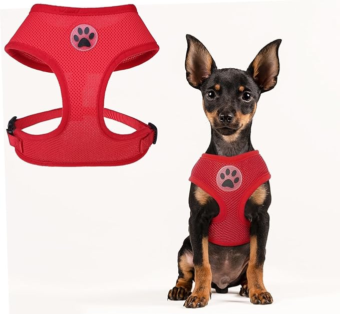 BINGPET No Pull Dog Harness - All Weather Mesh Step-in Vest for Small Dogs, Breathable Mesh Puppy &amp; Cat Harness, Red, X-Small