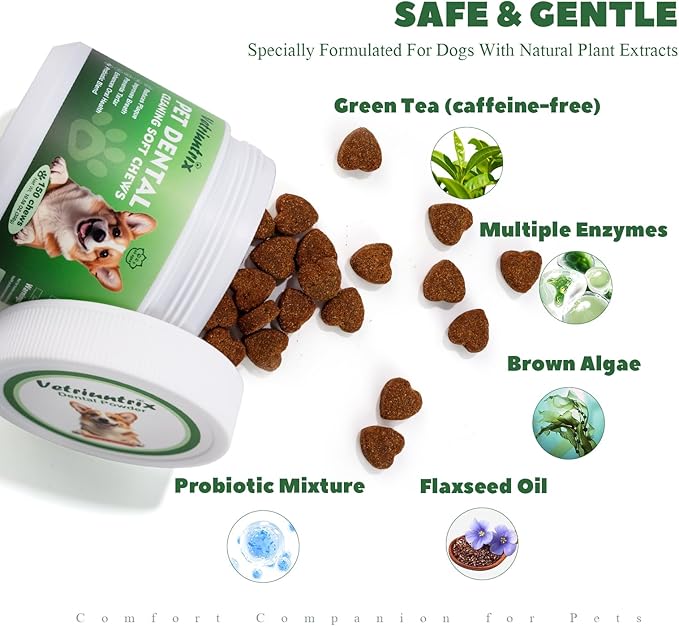 Dog Dental Care Powder - Plaque &amp; Tartar Control with Natural Enzymes, Teeth Cleaning Powder for Dogs with Probiotic, Bad Breath Treatment for Small Medium Large Dogs