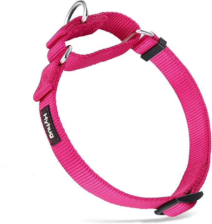 Hyhug Martingale Dog Collar Without Buckle: Anti Escape, No Slip Heavy - Duty Nylon, Colorfast &amp; Adjustable for Medium Breeds(Medium,Rose Red Pink)