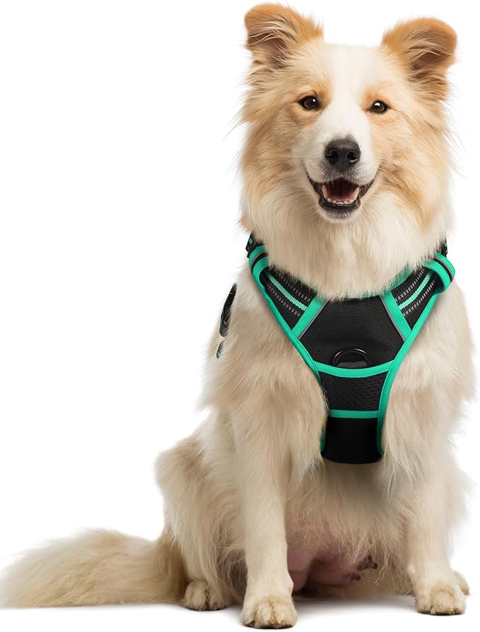 rabbitgoo Dog Harness No Pull with 2 Leash Clips, Adjustable Soft Padded, Reflective Oxford No Choke Pet Vest with Easy Control Handle for Medium Sized Dogs, Black &amp; Turquoise, M