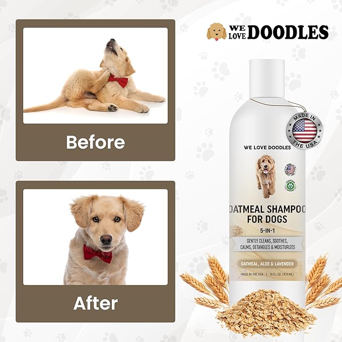 5-in-1 Premium Oatmeal Shampoo for Dogs, Gentle for Itchy &amp; Sensitive Skin, Provides Itch Relief, Hypoallergenic &amp; Soothing for Dry Skin, Moisturizing Anti-Itch, Made in USA, 16 oz [We Love Doodles]