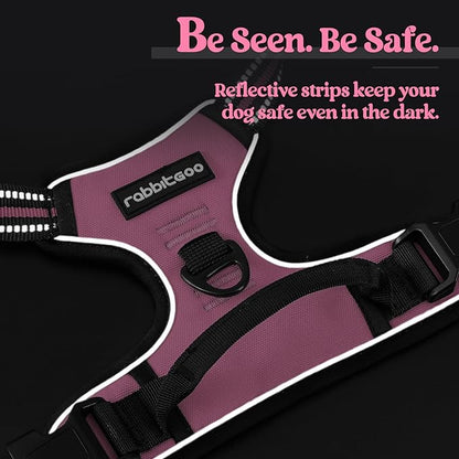 rabbitgoo Dog Harness No Pull with 2 Leash Clips, Adjustable Soft Padded, Reflective Oxford No Choke Pet Vest with Easy Control Handle for Large Dogs, Pink, L