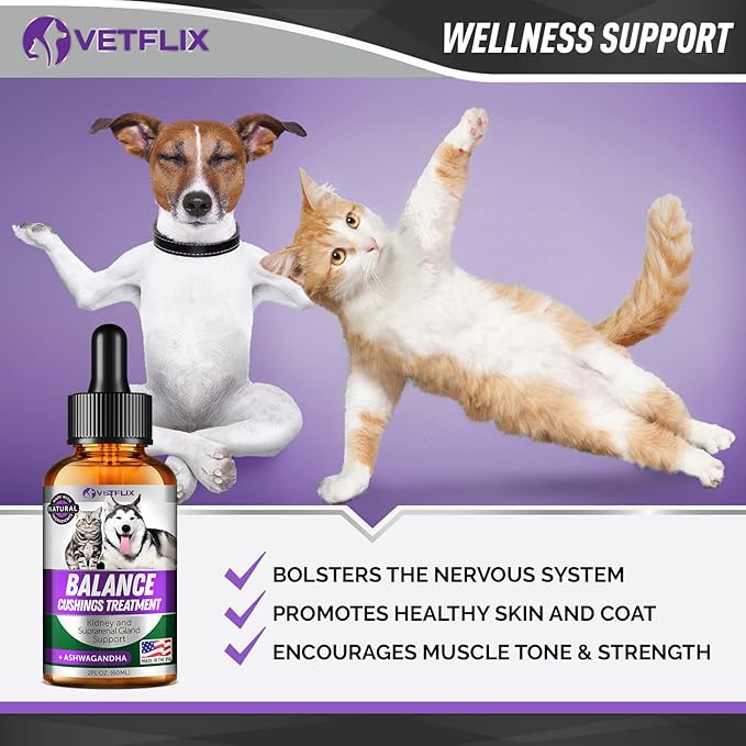 Pet Adrenal Support for Dogs &amp; Cats - Made in USA - Cushings Treatment for Dogs - Cat &amp; Dog Supplement for Kidney Support - 2 Fl Oz