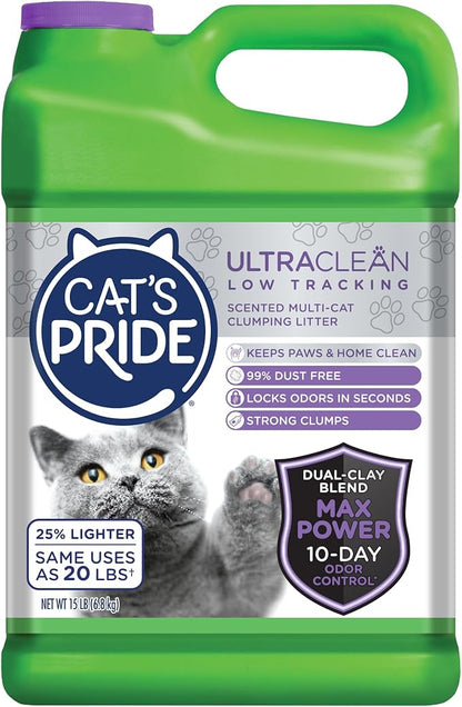 Cat&