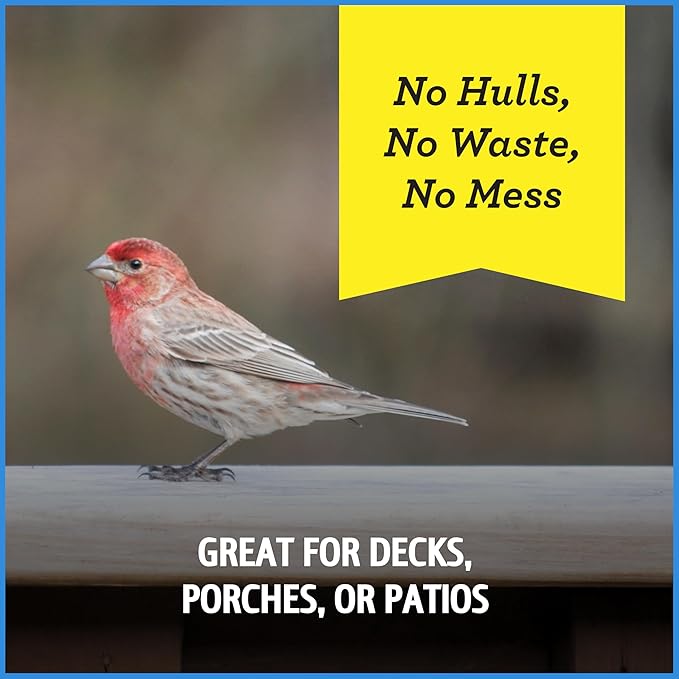 Pennington Select Chips &amp; Bits Wild Bird Seed for Outside Feeders, High-Protein, No-Hull &amp; No-Waste, Sunflower Chips &amp; Peanut Bits Attract Songbirds,15-lb. Bag