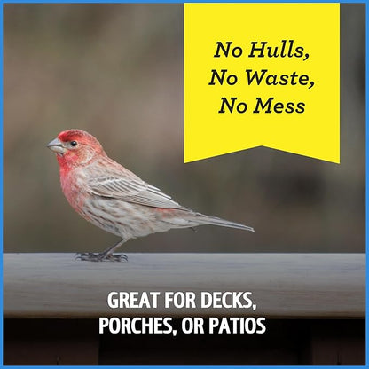 Pennington Select Chips &amp; Bits Wild Bird Seed for Outside Feeders, High-Protein, No-Hull &amp; No-Waste, Sunflower Chips &amp; Peanut Bits Attract Songbirds,15-lb. Bag