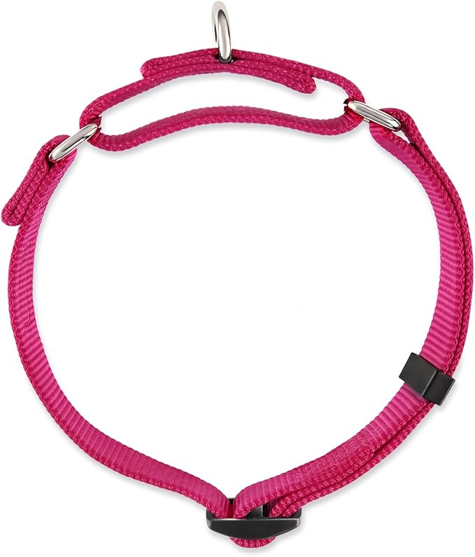 Hyhug Martingale Dog Collar Without Buckle: Anti Escape, No Slip Heavy - Duty Nylon, Colorfast &amp; Adjustable for Medium Breeds(Medium,Rose Red Pink)