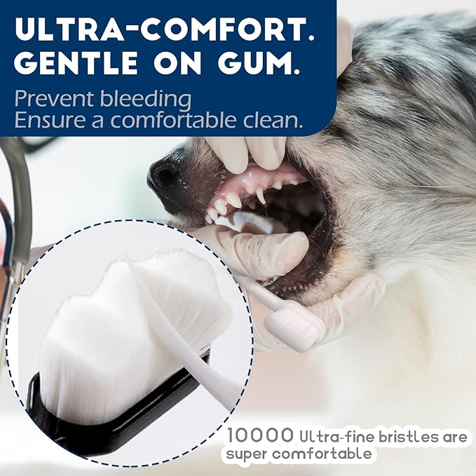 Dog Toothbrush Kit 4 Pack, 10,000 Ultra-Soft Bristles, Dog Tooth Brush for Medium to Large Dogs &amp; Cats, Pet Tooth Brushing Kit for Easy Dental Cleaning, 2 Black Wave Head &amp; 2 White Flat Head