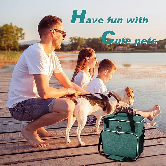BAGLHER Pet Travel Set Airline-Approved Carrier for Small/Medium Cats &amp; Dogs + Travel Bag with Food Containers &amp; Silicone Bowls, Grey &amp; Green