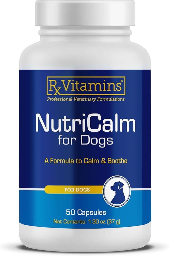 Rx Vitamins NutriCalm - Calming Care for Dogs with Valerian Root, Tryptophan, &amp; Ashwagandha - Aids in Separation Anxiety Relief for Dogs and Stress Relief - Road Trip Essentials &amp; Relaxant - 50ct