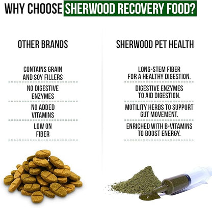 Pet Guinea Pig Emergency Kit with Timothy Recovery Food (Large Emergency Kit)