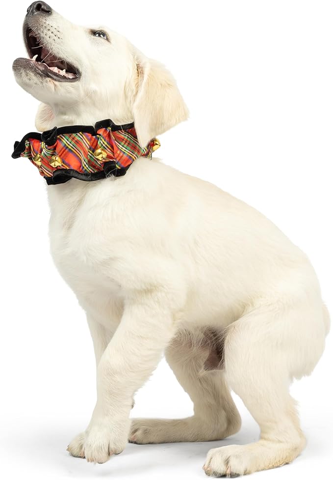 Huxley &amp; Kent Ruff Pet Scrunchy | Shiny Christmas Plaid (Medium) | Festive Christmas/Holiday Neckwear for Dogs/Cats | Fun Stretchable Costume Accessory | Soft Collar with Bells