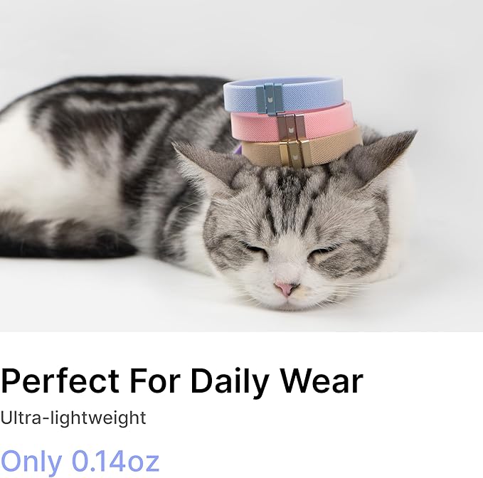 Safety Cat Collar - U.S. IDA Gold Awarding Design, Elastic Quick Release, Non Breakaway - Lightweight for Kitten, Neck Fit 5.9&