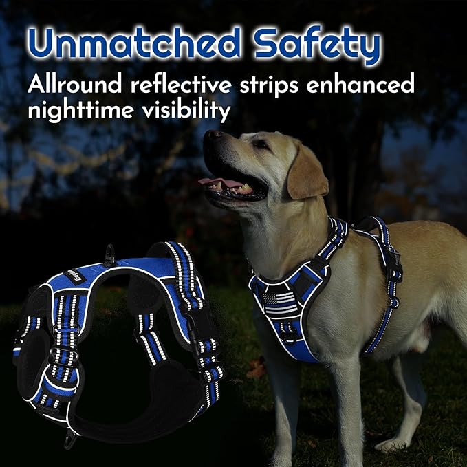 Eagloo Dog Harness for Large Dogs, Easy Wearing with 3 Buckles, Adjustable No Pull Pet Harness with 2 Rings for Walking, No Chock Reflective Soft Padded Vest with Control Handle, Blue &amp; Black, L