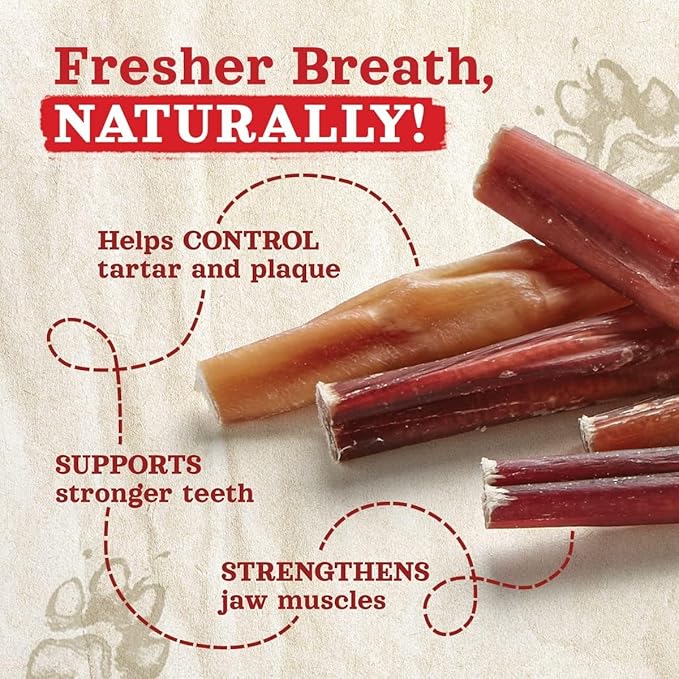 Natural Farm Odor-Free Thick Bully Sticks (12”, 10-Pack) All-Natural Long-Lasting Dog Chews, 100% Beef Pizzle, Grass-Fed, Grain-Free, Protein for Muscle Development &amp; Energy, Perfect for Large Dogs