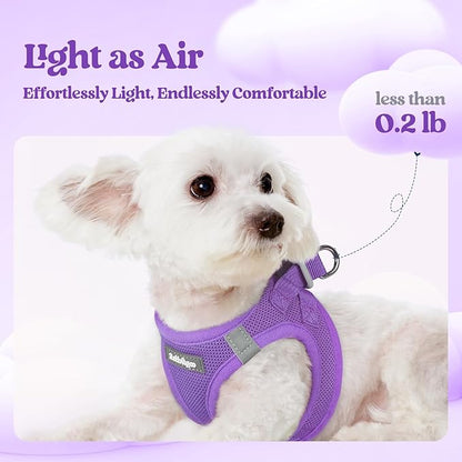 rabbitgoo Dog Harness Small Medium Sized and Leash Set, Step in Soft Light Puppy Vest, Breathable Mesh Pet Harness, Reflective for Safe Outdoor Walking, Purple L