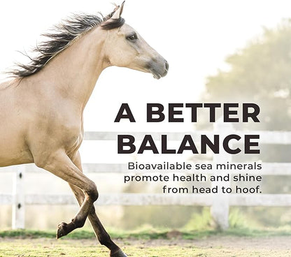 Daily RED Crushed Garlic - Mineral Supplement for Horses (25 LB Garlic)