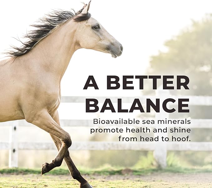 Redmond Daily Red Crushed Garlic | Horse Minerals &amp; Vitamins Supplement | Garlic for Horses