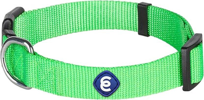 Blueberry Pet Essentials X-Small Dog Collar in Neon Green | Adjustable &amp; Eco-Friendly Durable Nylon Strap | Classic Collar for X-Small Dogs, Boy &amp; Girl Pets