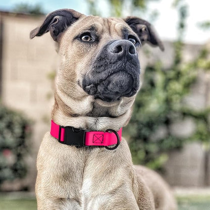 Dogline Biothane Waterproof Dog Collar with Quick Release Buckle Strong Coated Nylon Webbing with Odor- Proof for Easy Care Easy to Clean Fits Small Medium Large Dogs, Pink 5/8" W 9-14" L