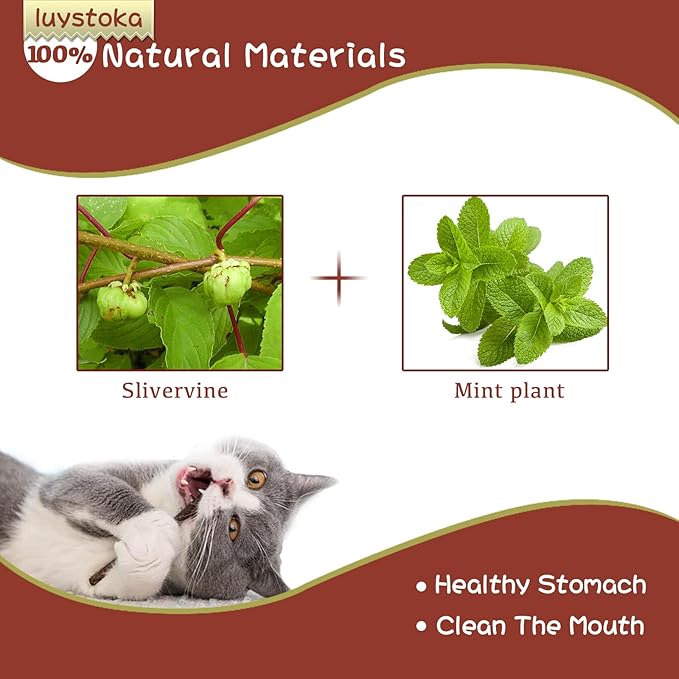 Cat Toys - Silvervine &amp; Matatabi Catnip Toys, 10PCS Indoor Kitty Chew Sticks &amp; Wand Toys for Bored Cats
