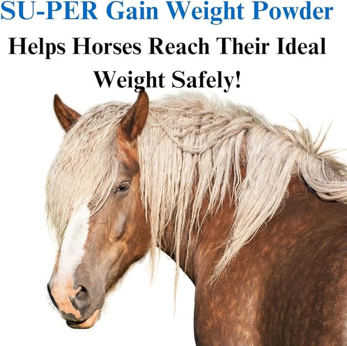 SU-PER Gain Weight for Horses - Equine Supplement Weight Gainer for Horses - Promotes Lean Muscle Mass, Digestion &amp; Appetite - 10 Pound, 1 Month Supply