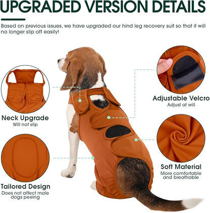 Kuoser Dog Recovery Suit for Back Legs &amp; Thigh Wounds - Brown XL